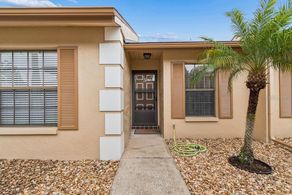 4753 Sunny Loop Holiday, FL 34690 - Photo 1 of 39