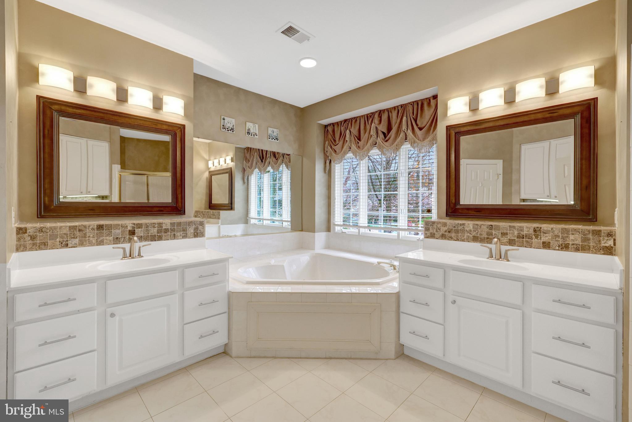 20443 Cliftons Point Street Sterling, VA 20165 - Photo 23 of 37 a bathroom with a double vanity sink mirror and a bathtub