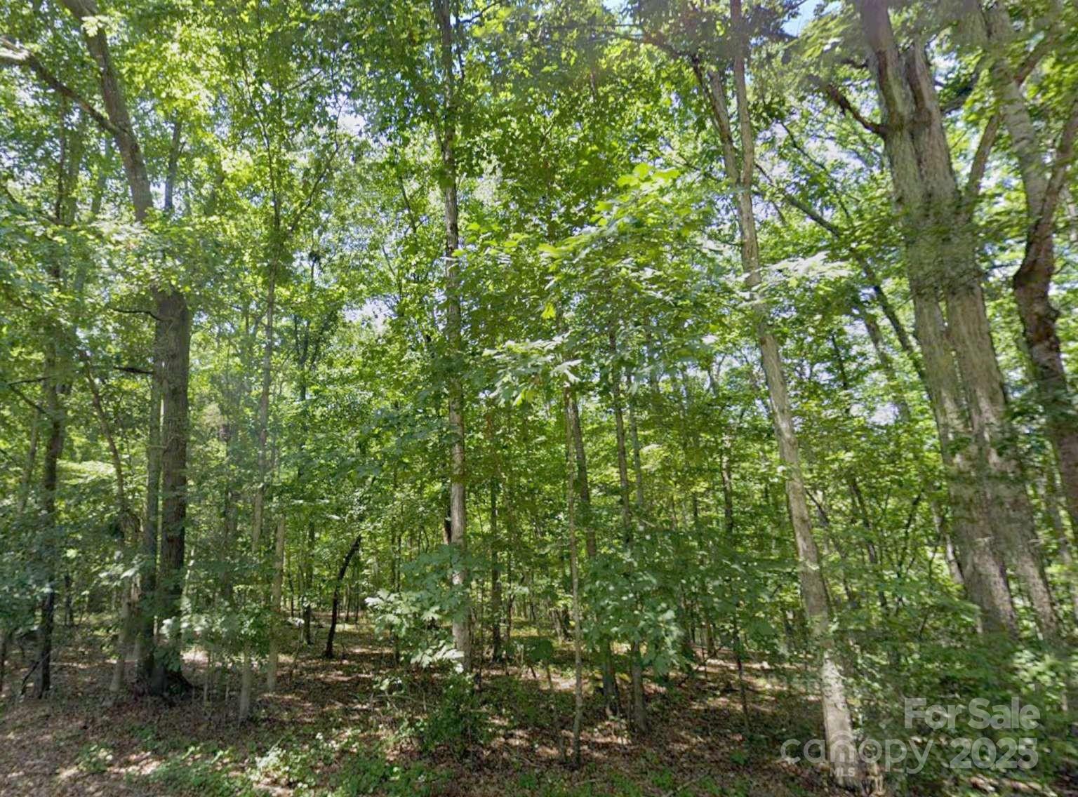 112 Sandy Point Drive Shelby, NC 28150 - Photo 11 of 19 a view of a lush green forest