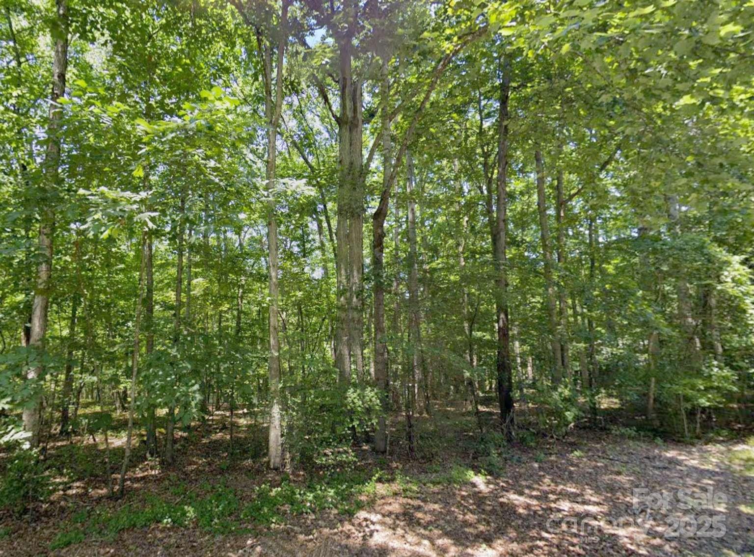 112 Sandy Point Drive Shelby, NC 28150 - Photo 12 of 19 a view of a forest with trees in the background