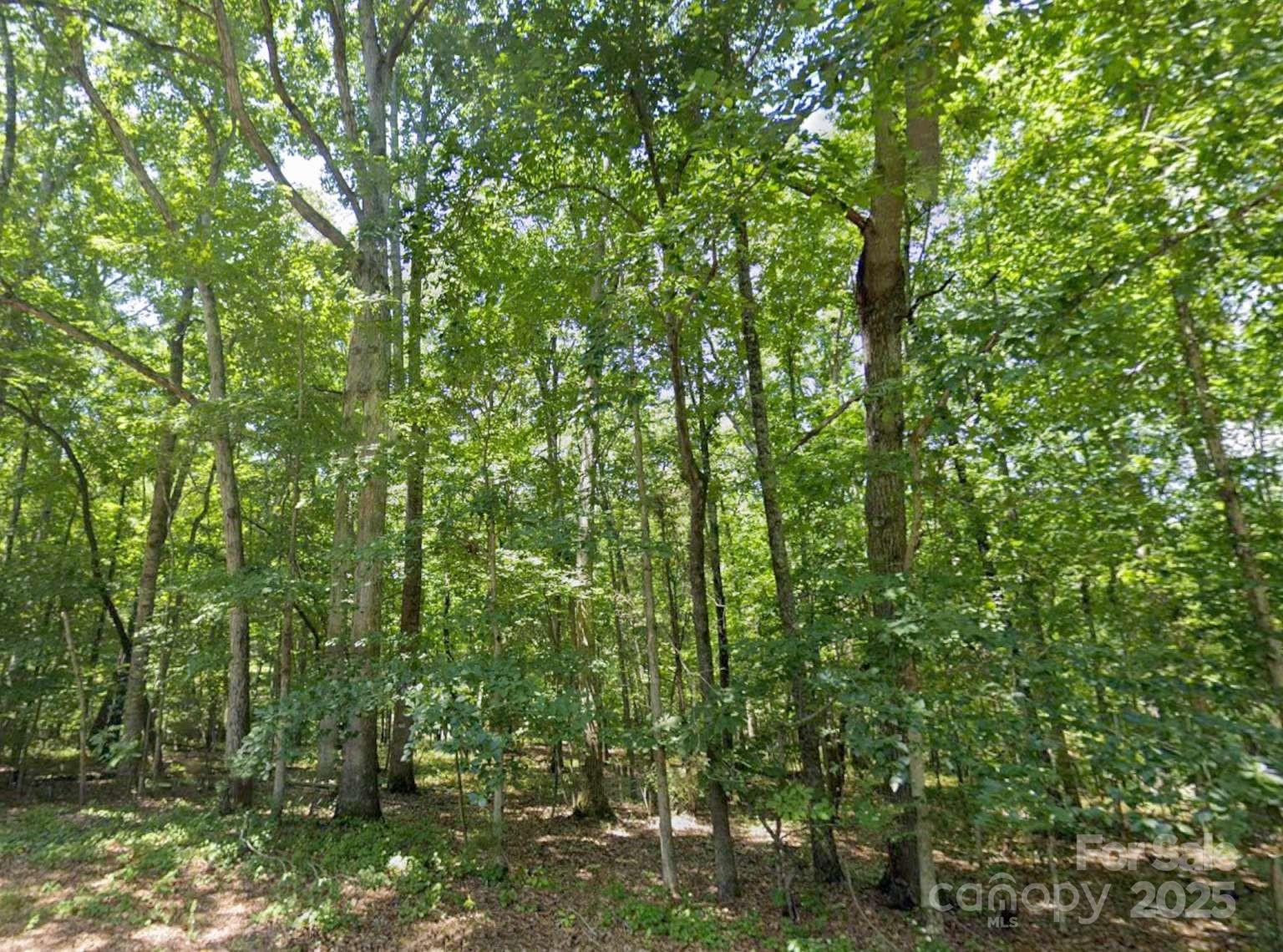112 Sandy Point Drive Shelby, NC 28150 - Photo 13 of 19 a view of a lush green forest
