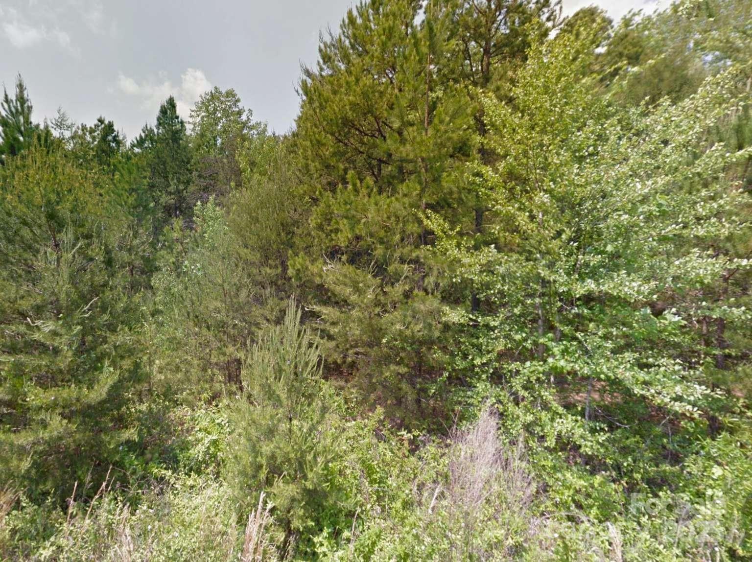 112 Sandy Point Drive Shelby, NC 28150 - Photo 14 of 19 a view of a lush green forest