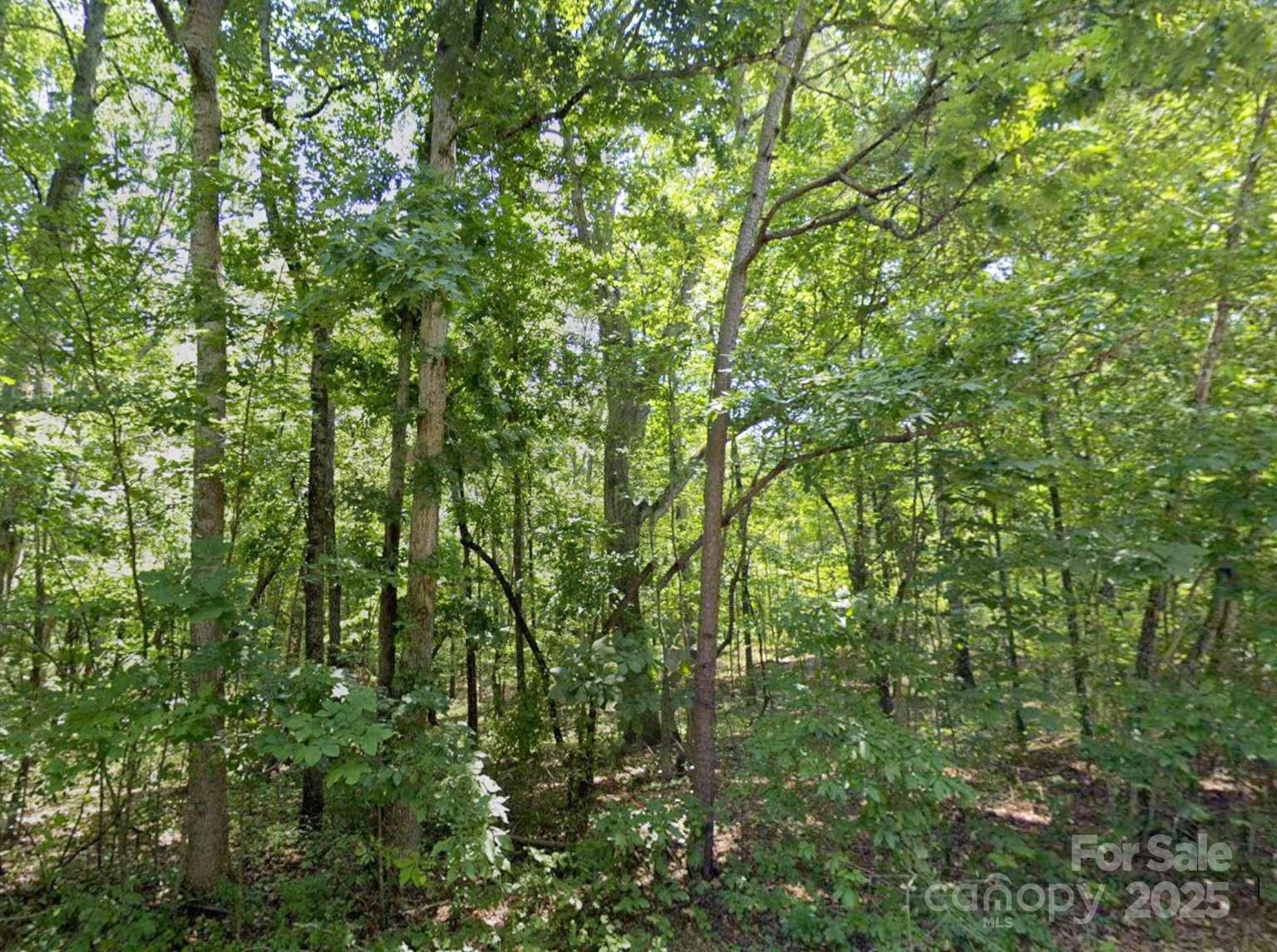 112 Sandy Point Drive Shelby, NC 28150 - Photo 15 of 19 a view of a lush green forest