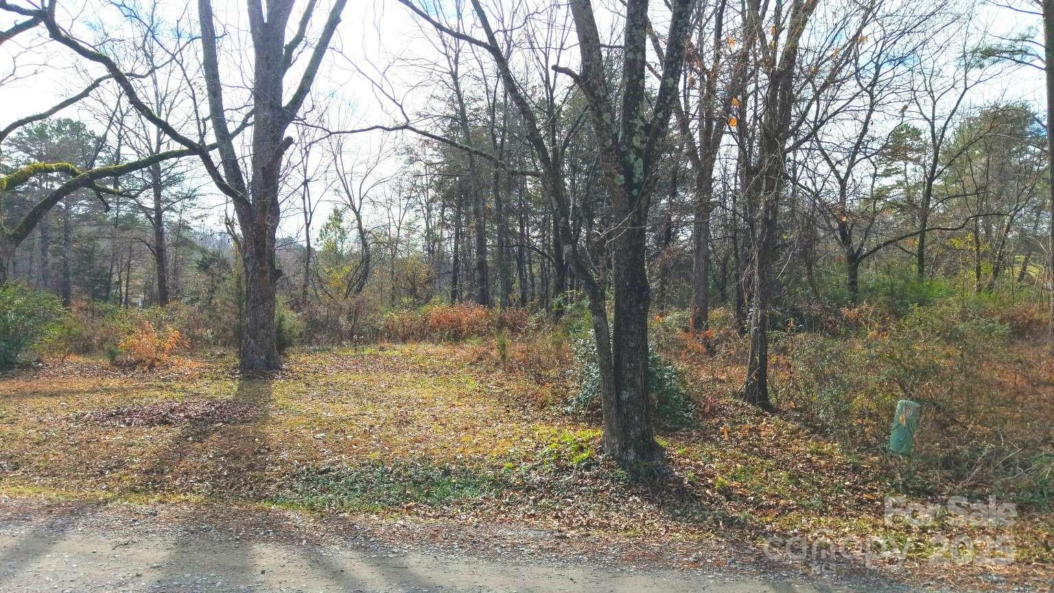 112 Sandy Point Drive Shelby, NC 28150 - Photo 3 of 19 a view of a forest filled with trees