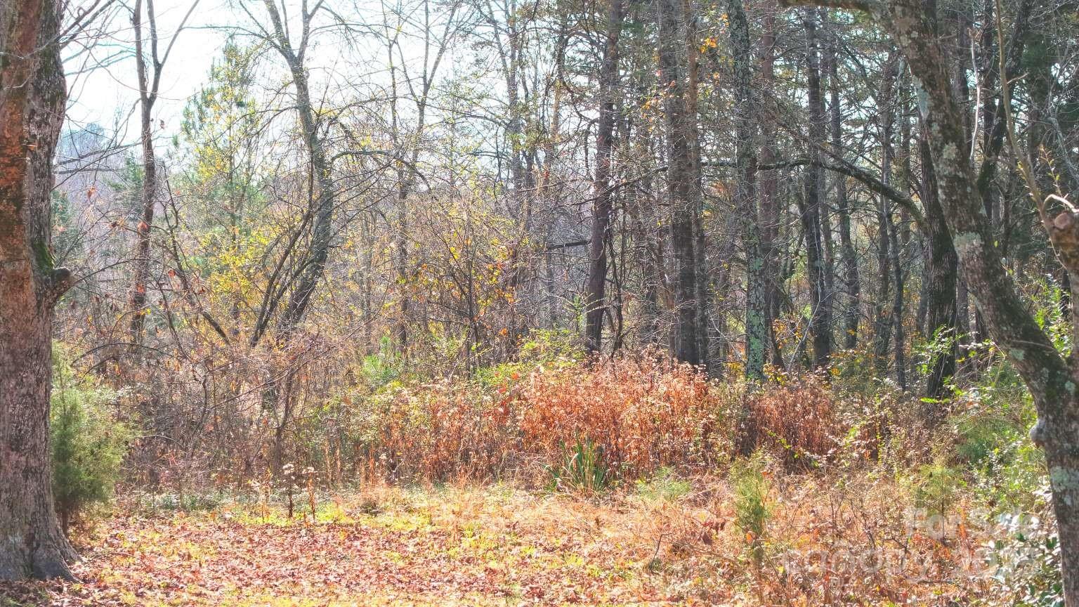 112 Sandy Point Drive Shelby, NC 28150 - Photo 4 of 19 a backyard of a house with lots of green space