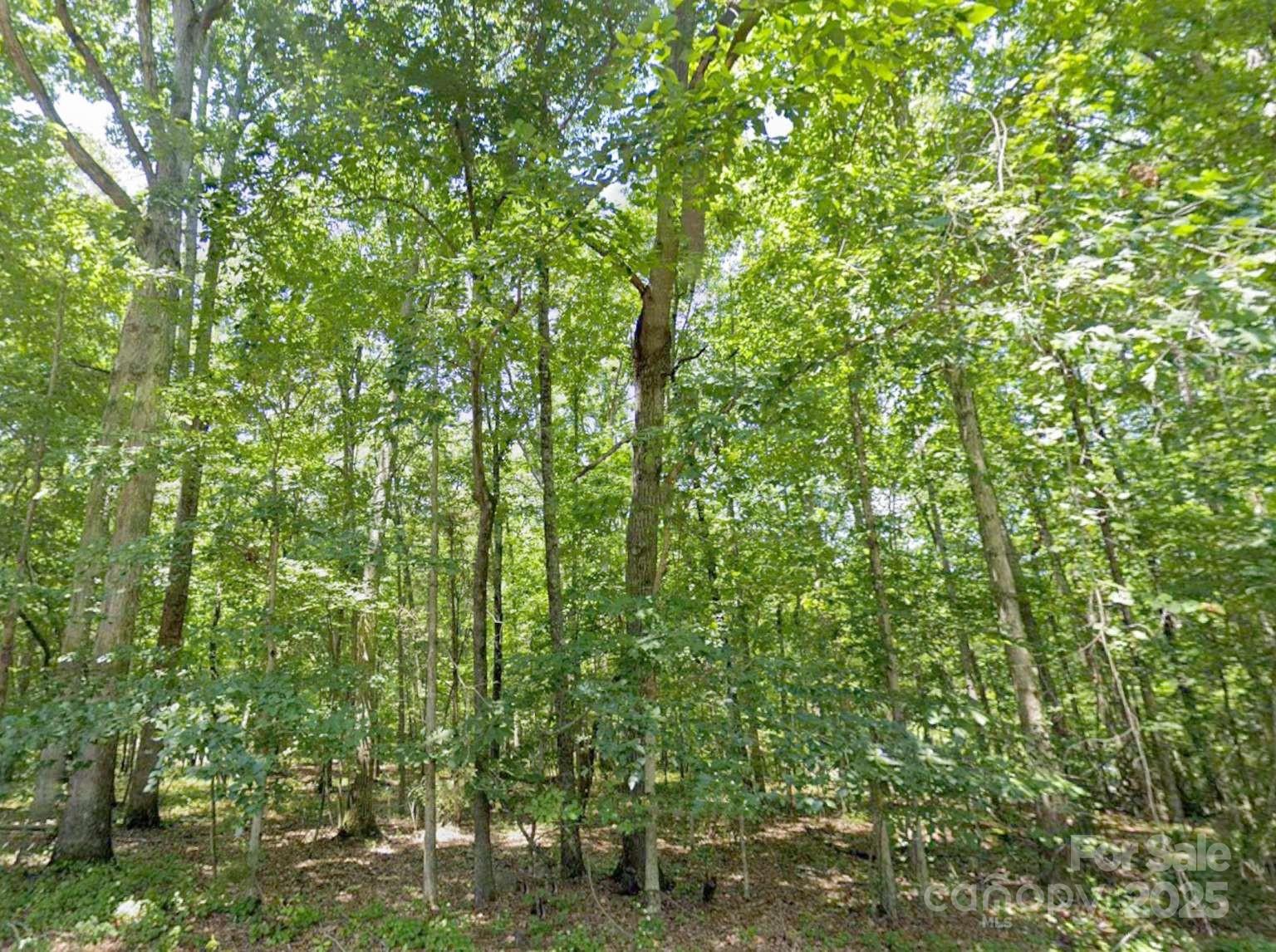 112 Sandy Point Drive Shelby, NC 28150 - Photo 10 of 19 a view of a yard