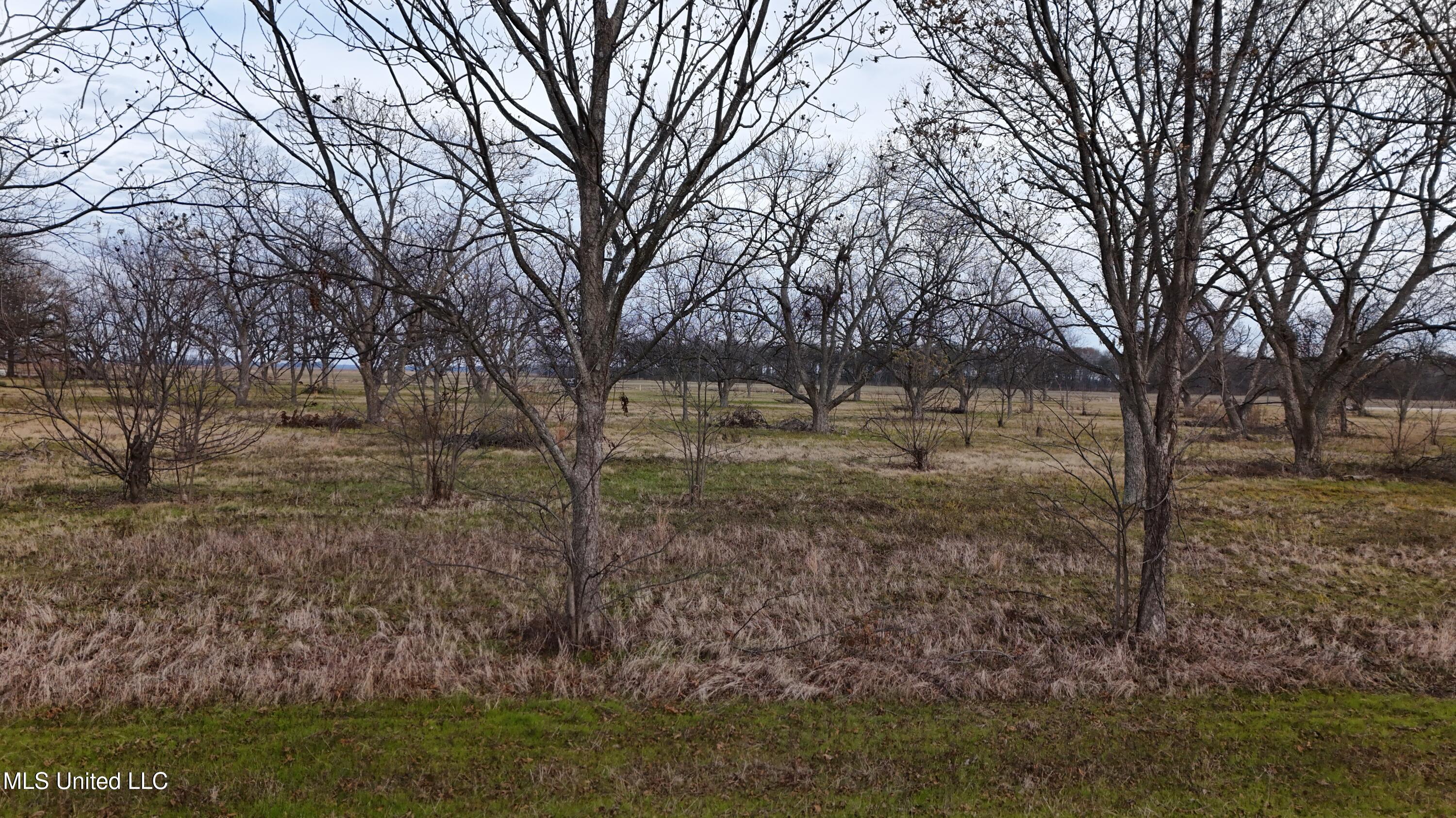 Interstate Road Shaw, MS 38773 - Photo 8 of 14 DJI_20251203153524_0127_D
