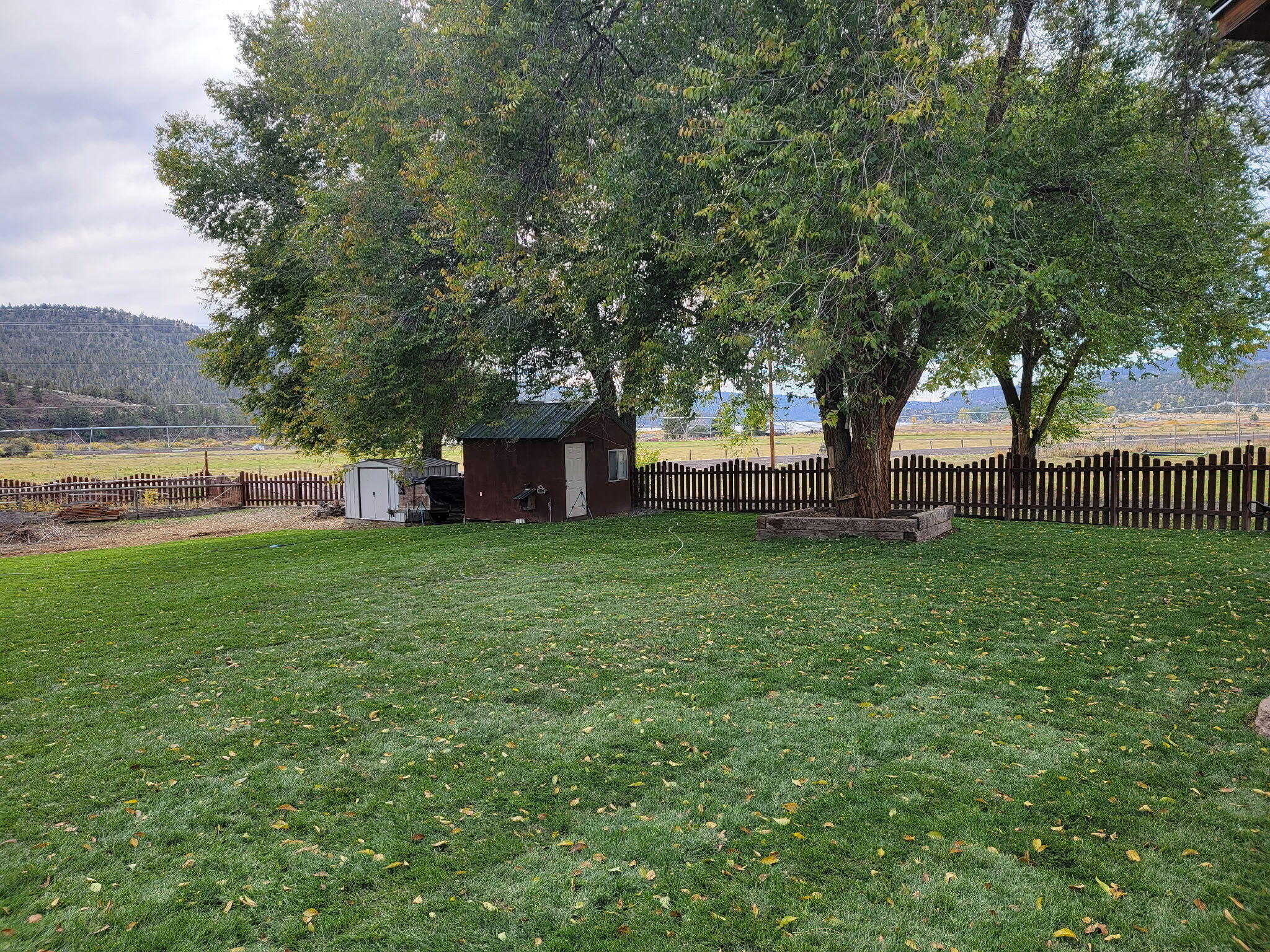 1940 Dobbs Road Prineville, OR 97754 - Photo 22 of 31 IMG_20251023_081546 (1)