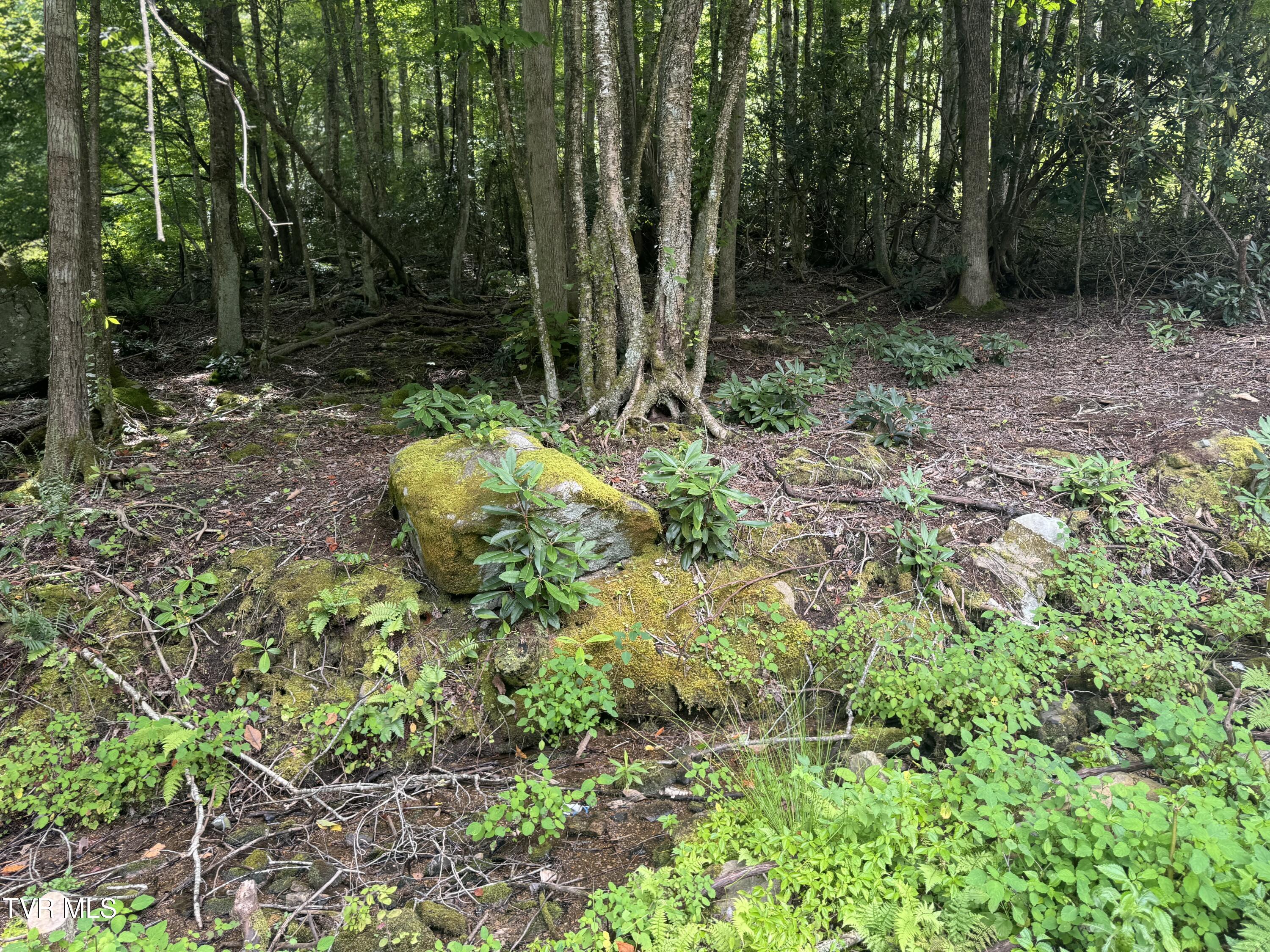 Tbd Stockton Road Roan Mountain, TN 37687 - Photo 2 of 11 IMG_0871