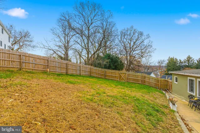 a view of a backyard with a large tree