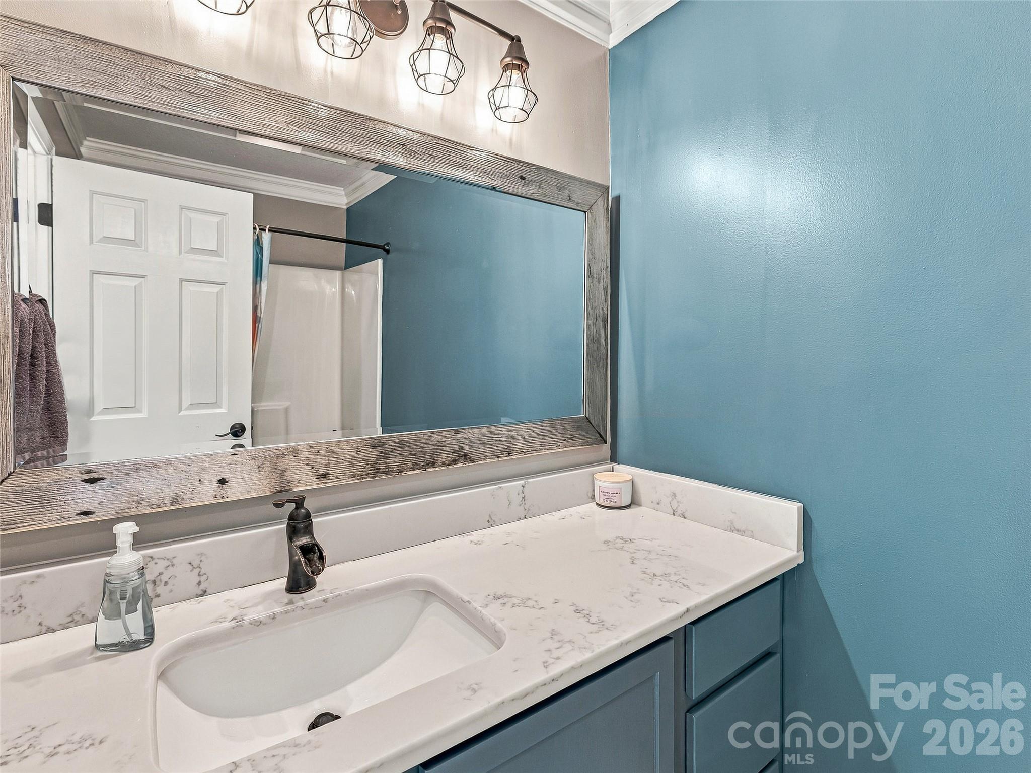 64 Chesire Way Fletcher, NC 28732 - Photo 20 of 32 Gallery Image 20