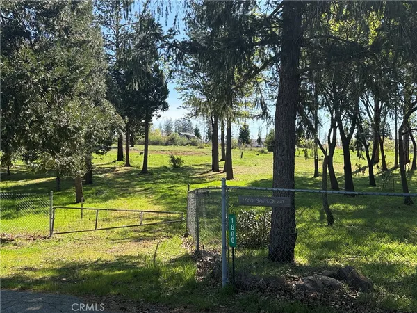a view of a park with trees