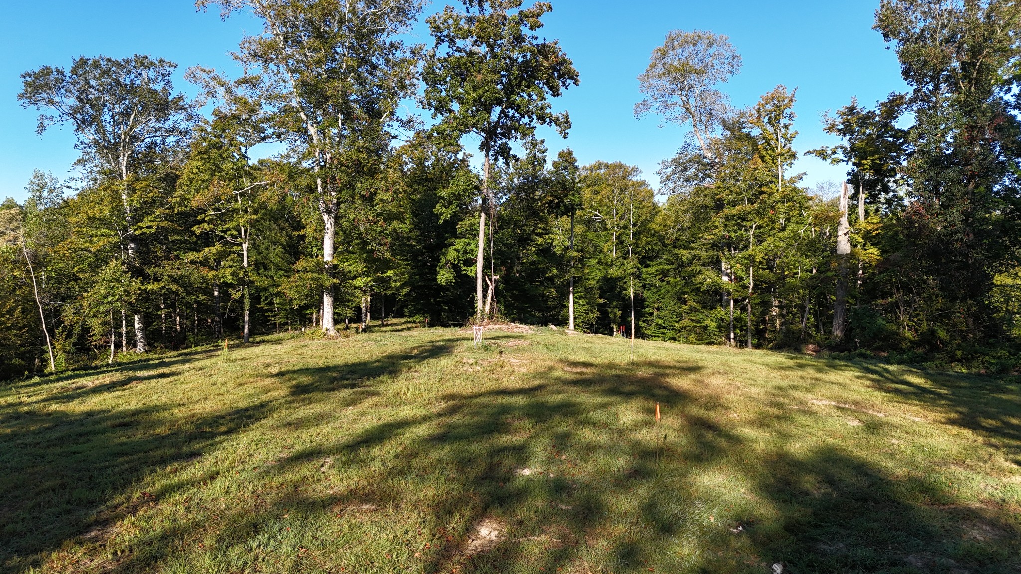 3725 B Mobley's Cut Road Thompson's Station, TN 37179 - Photo 6 of 11 Gallery Image 6