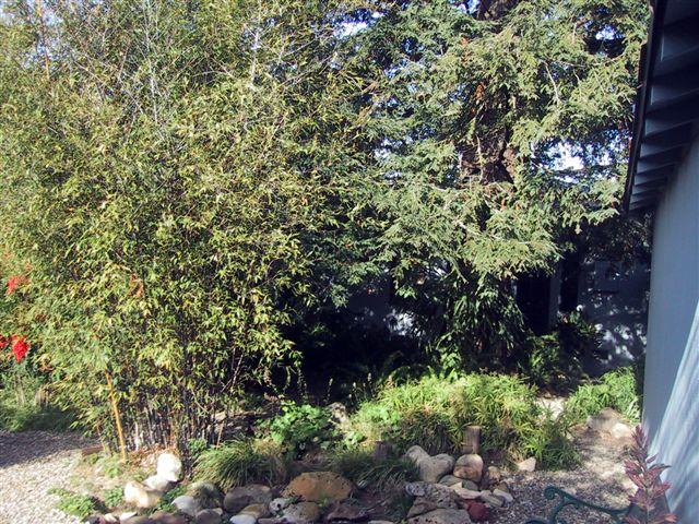 30 San Roque Road Santa Barbara, CA 93105 - Photo 14 of 19 Backyard