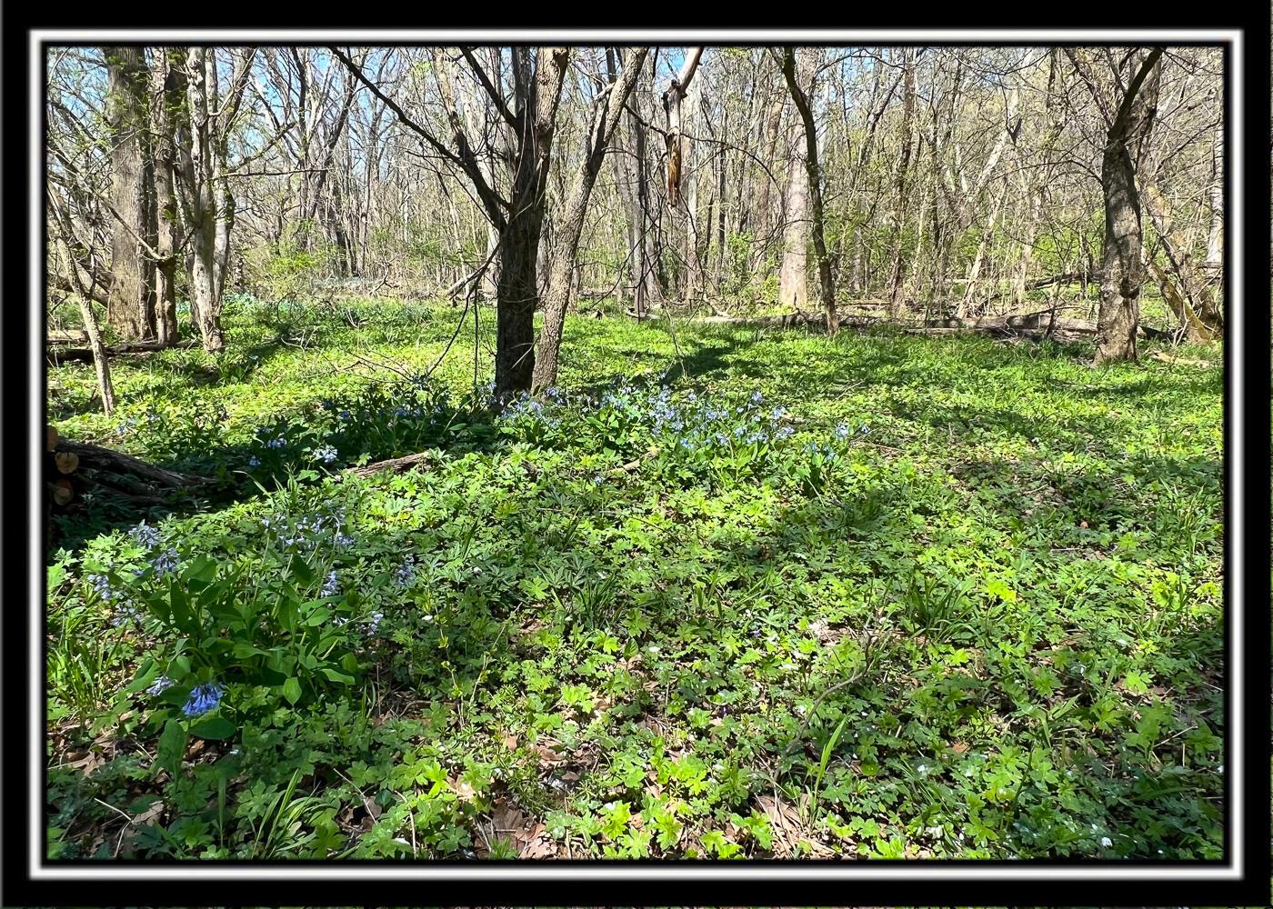 0 North Musselman Station Road Frankfort, OH 45628 - Photo 46 of 51 CT-47