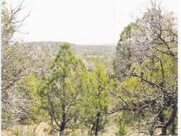 0 North Timber Ranch Road Show Low, AZ 85901 - Photo 1 of 3 Primary Photo