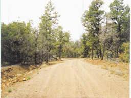 0 North Timber Ranch Road Show Low, AZ 85901 - Photo 2 of 3 Additional Photo