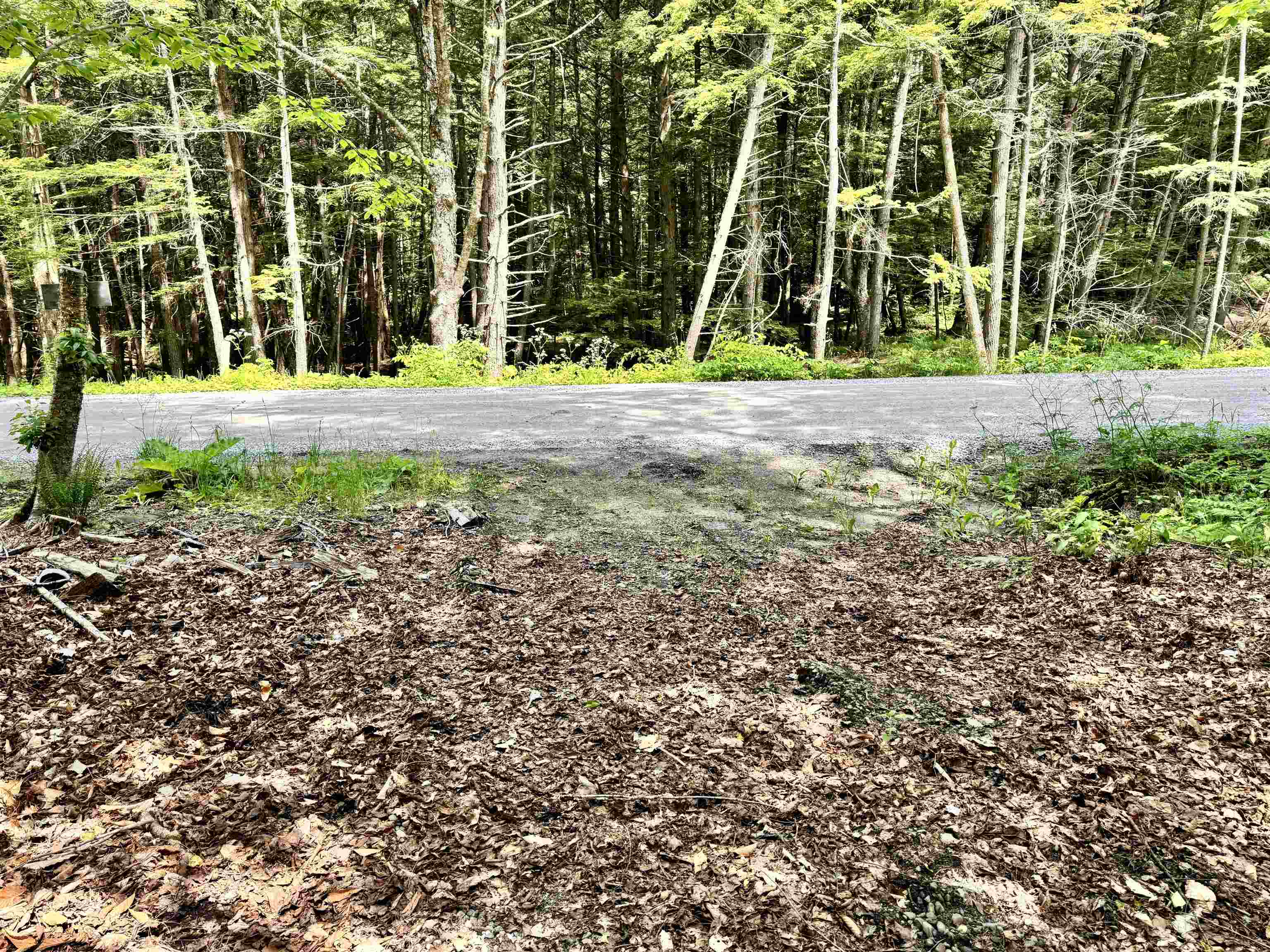 62 Foundry Road Tunbridge, VT 05077 - Photo 6 of 13