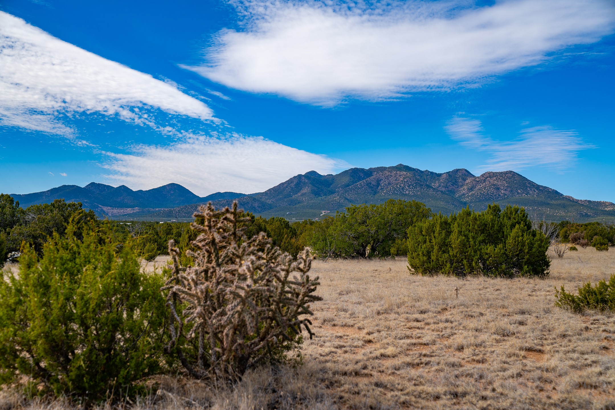 49-65 Blue Agave/grenfell Ranch Cerrillos, NM 87010 - Photo 11 of 36