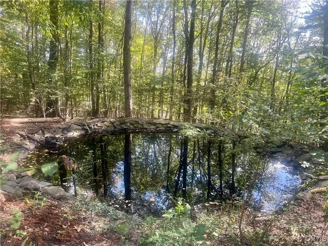 $389,000 | 2555 Carson Road, Virgil, NY 13045