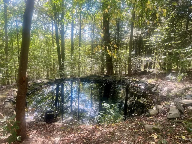 $389,000 | 2555 Carson Road, Virgil, NY 13045