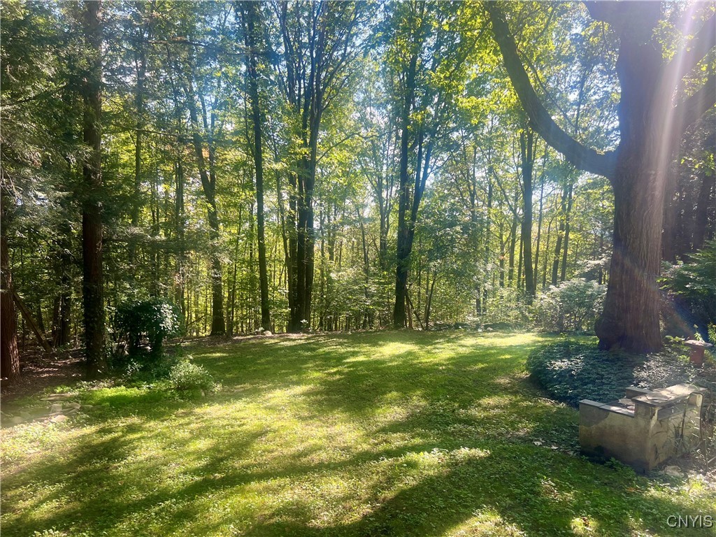 2555 Carson Road Virgil, NY 13045 - Photo 46 of 49