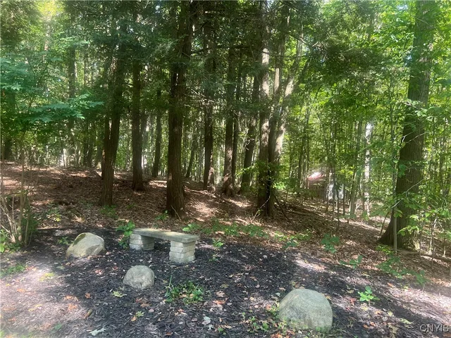 $389,000 | 2555 Carson Road, Virgil, NY 13045