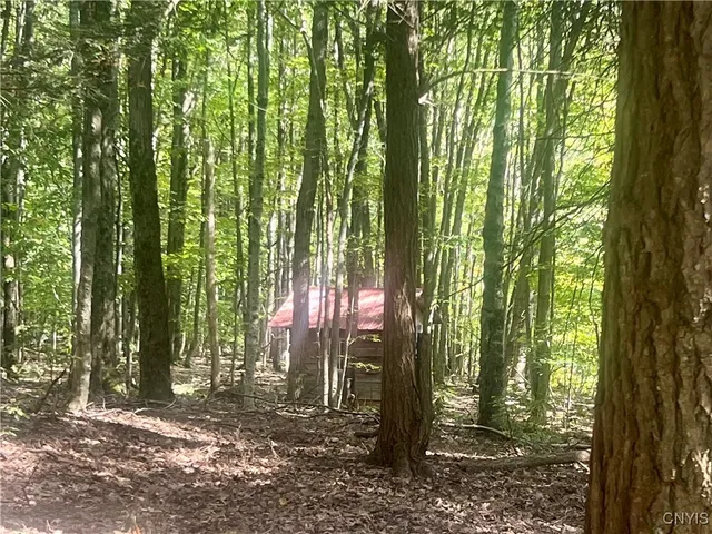 $389,000 | 2555 Carson Road, Virgil, NY 13045