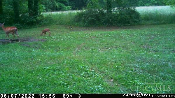 3366 Patterson Road Bethel, OH 45106 - Photo 39 of 49 Gallery Image 39