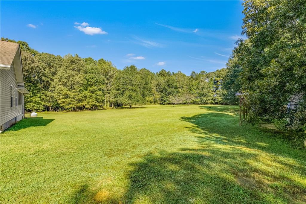 141 High Ridge Trail Jackson, GA 30233 - Photo 33 of 35 a view of an outdoor space and a yard
