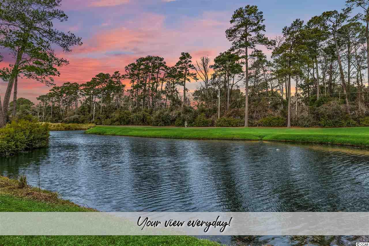 4331 Hunters Wood Drive Murrells Inlet, SC 29576 - Photo 7 of 40 Gallery Image 7