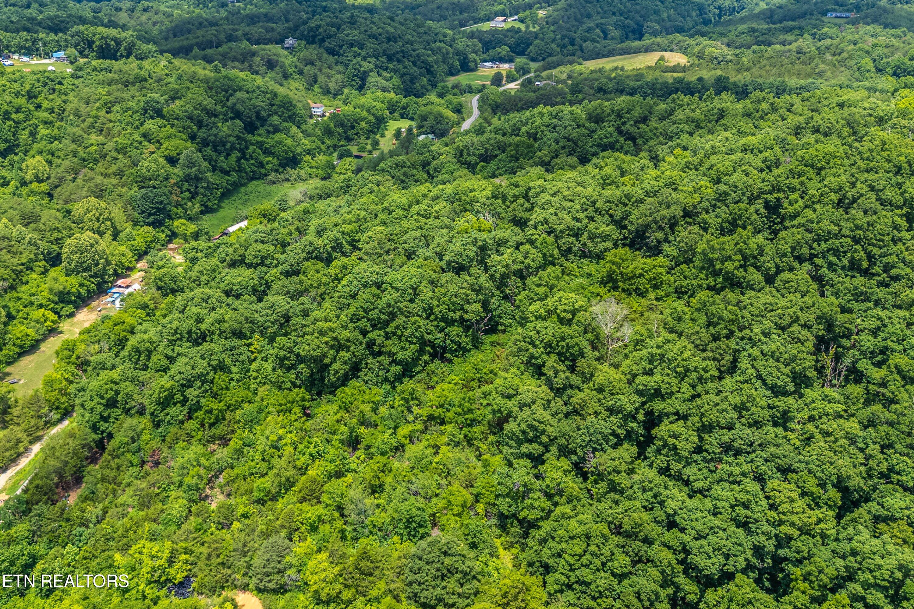 2165 Smelcer Road Parrottsville, TN 37843 - Photo 10 of 18 08-Lot Line A8