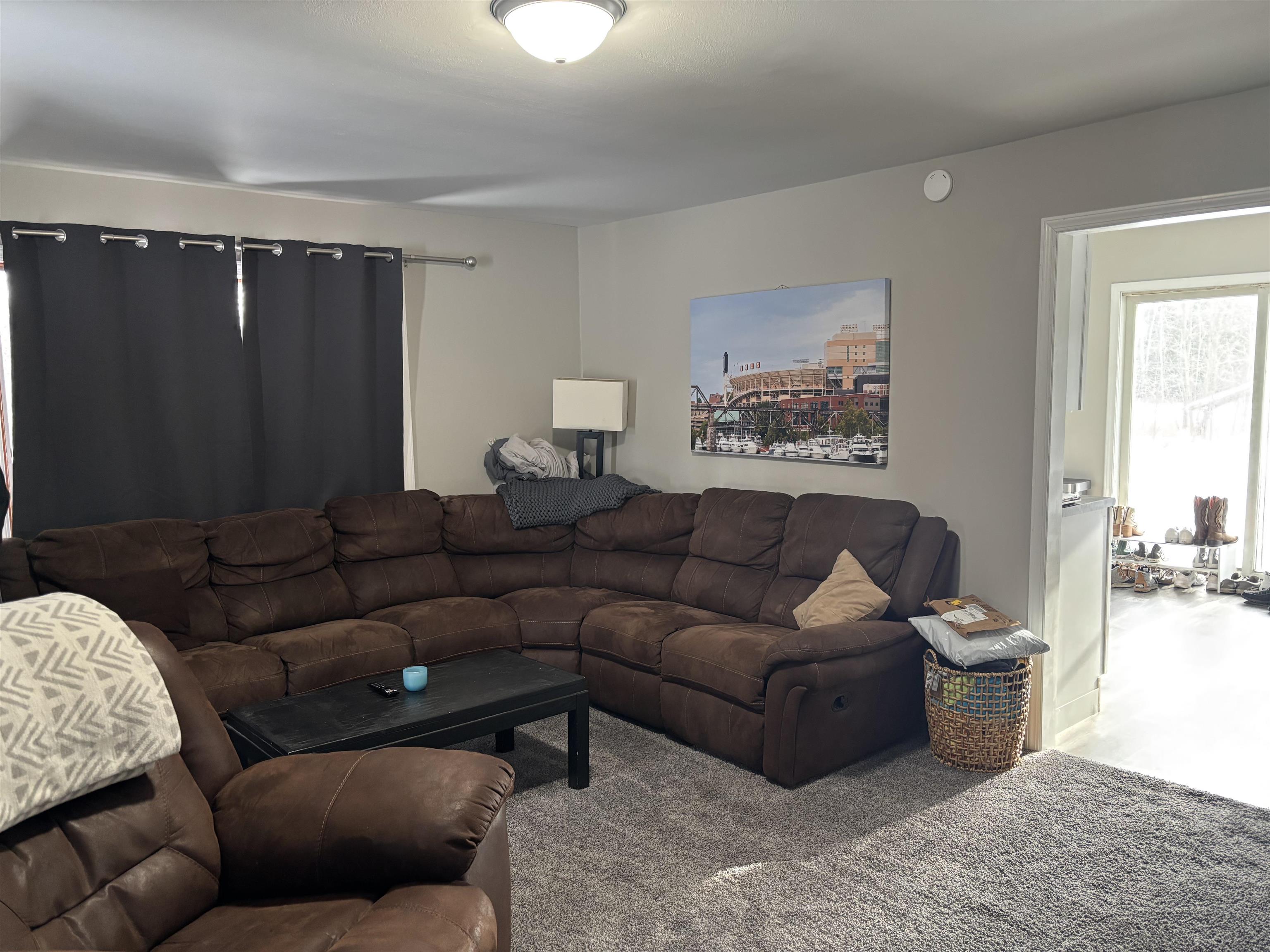 9688 Highway 37 Iron, MN 55751 - Photo 7 of 14 Living area featuring carpet