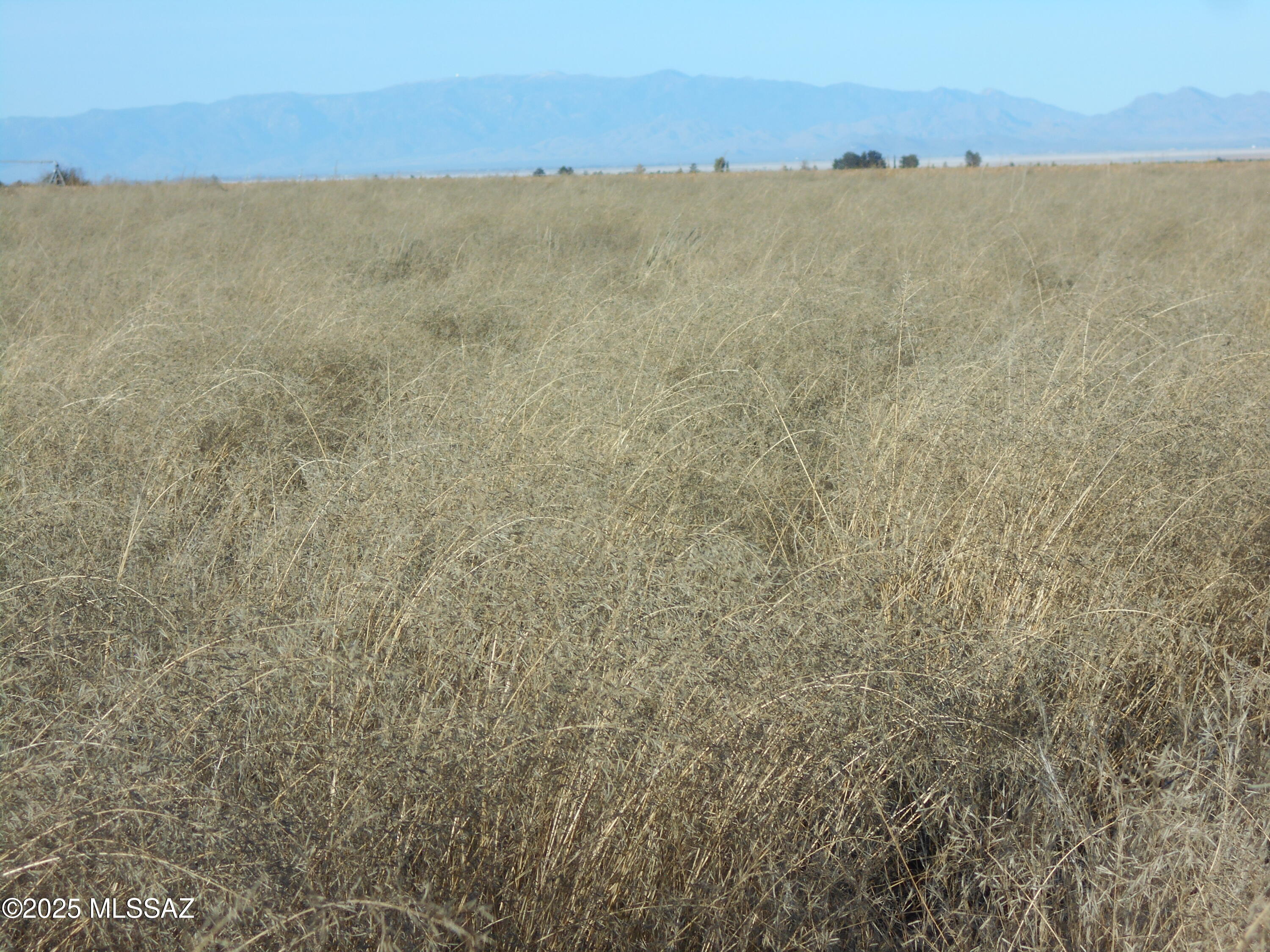 4.25-acres Eastland Road, Unit 8 Cochise, AZ 85606 - Photo 27 of 35