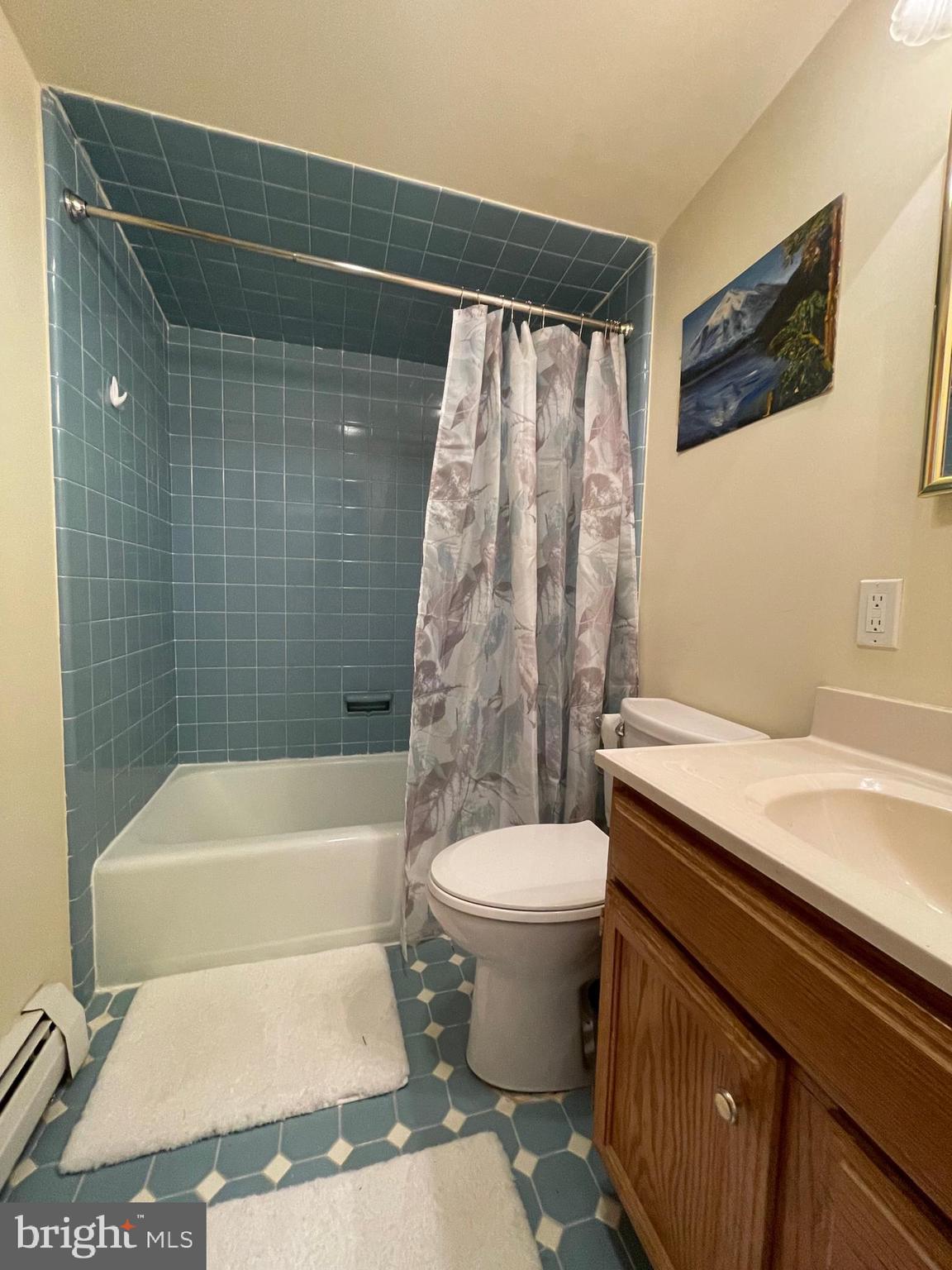 120 Diamond Rock Road Phoenixville, PA 19460 - Photo 33 of 86 MH Hall Bath - add anothr MBTH next to it?