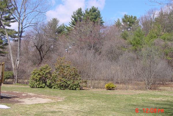 68 Dutchess Street Springfield, MA 01129 - Photo 3 of 23 Gallery Image 3