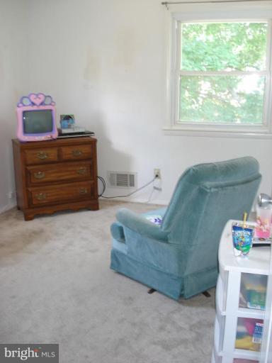 113 Cherry Valley Road Reisterstown, MD 21136 - Photo 18 of 30 Bedroom #2