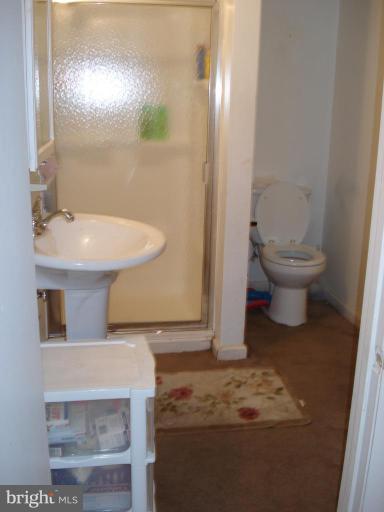 113 Cherry Valley Road Reisterstown, MD 21136 - Photo 28 of 30 Bathroom at basemant