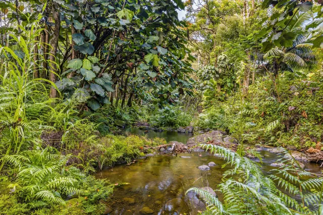 a view of a big room with wooden floor and doors