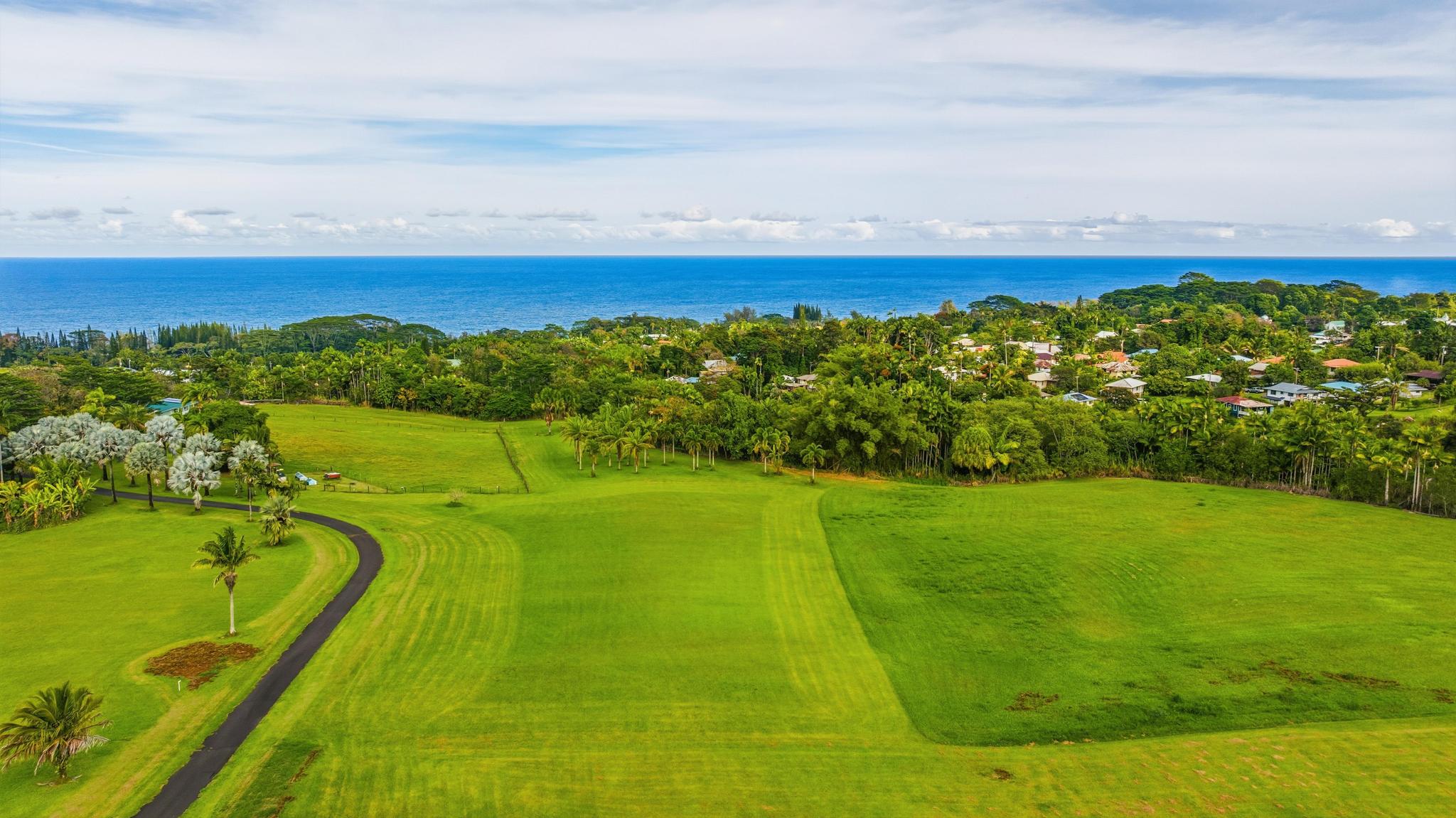 7 Iliopua Road Honomu, HI 96728 - Photo 12 of 30 a view of a city