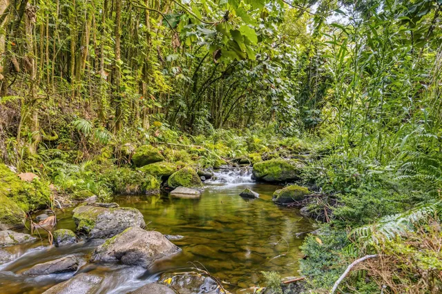 a view of an ocean and beach