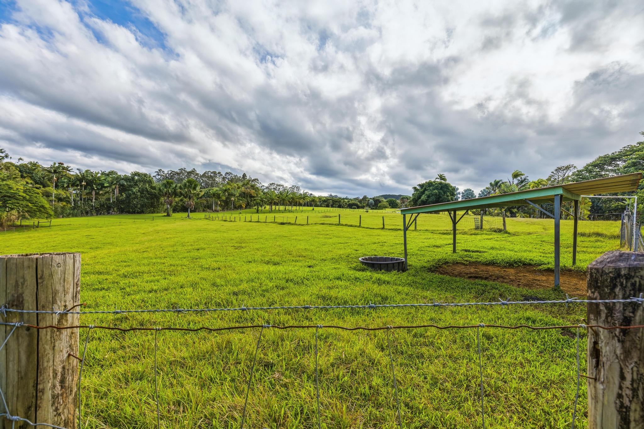 7 Iliopua Road Honomu, HI 96728 - Photo 26 of 30 a view of a big yard with potted plants