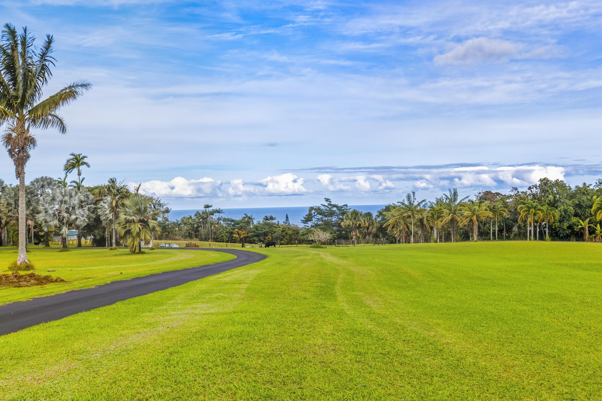 7 Iliopua Road Honomu, HI 96728 - Photo 27 of 30 a view of a big yard with a large trees