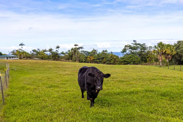 $975,000 | 7 Lot, Honomu, HI 96728