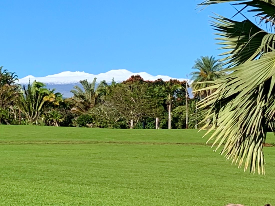 7 Iliopua Road Honomu, HI 96728 - Photo 30 of 30 a view of a grassy field with trees in the background