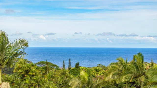 a view of a park with large trees