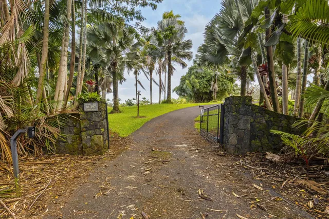 a view of a park with palm trees