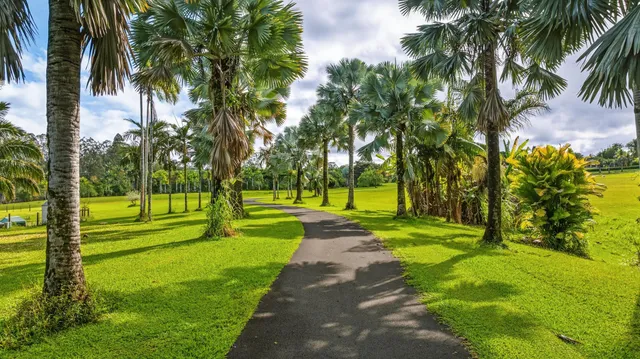 a view of a lake with a yard