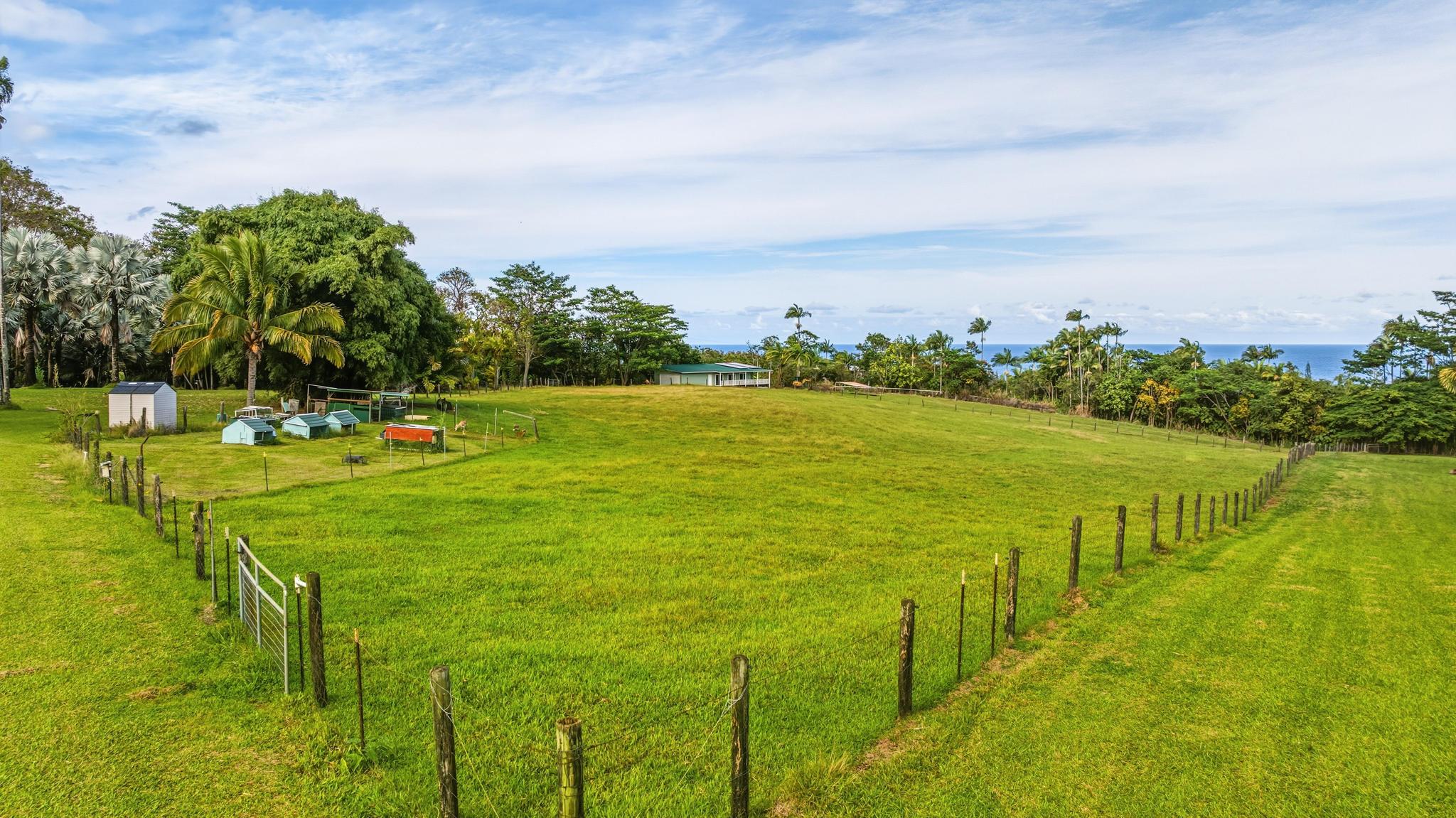 7 Iliopua Road Honomu, HI 96728 - Photo 10 of 30 a view of an ocean from a building