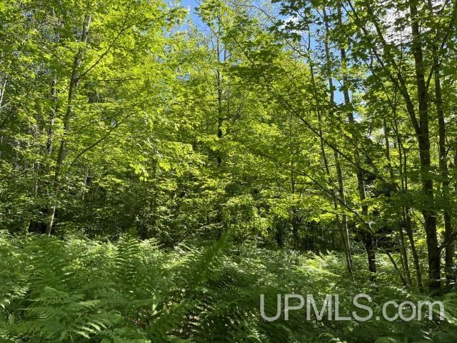 40-acres New DNR Road Crystal Falls, MI 49920 - Photo 7 of 46